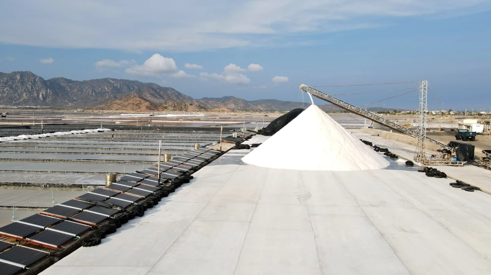 muối đầm vua 4.jpg