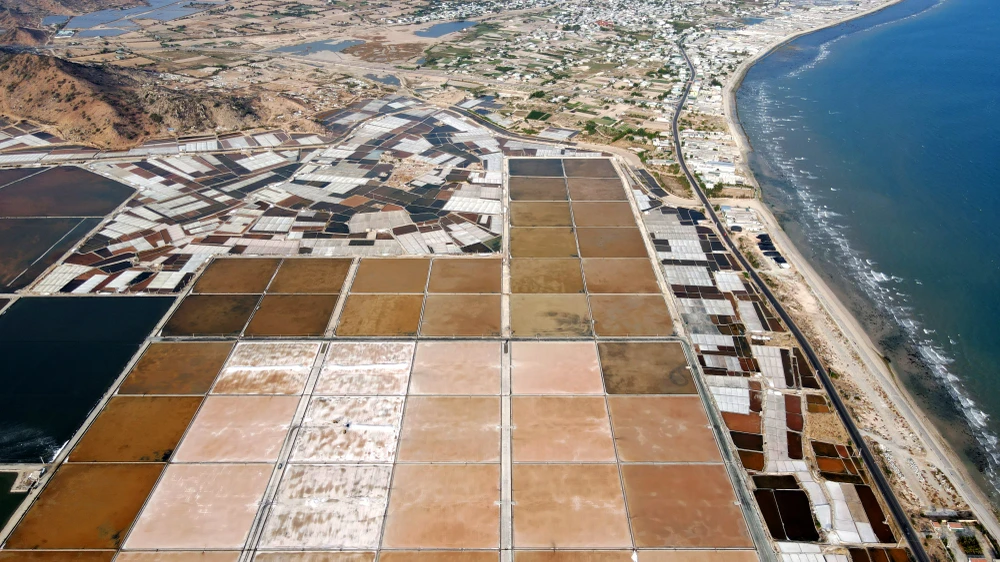 muối đầm vua 6.jpg