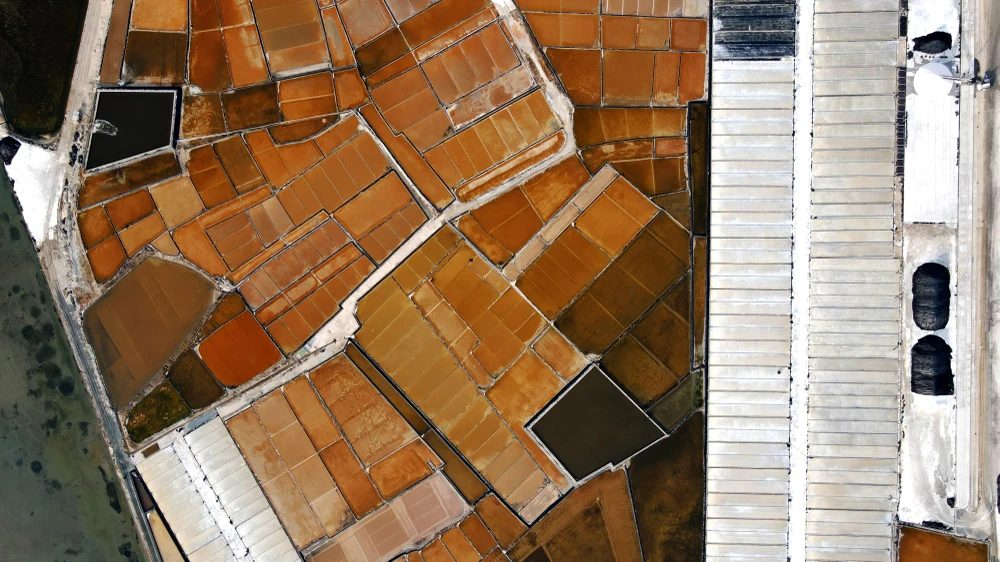 muối đầm vua 7.jpg