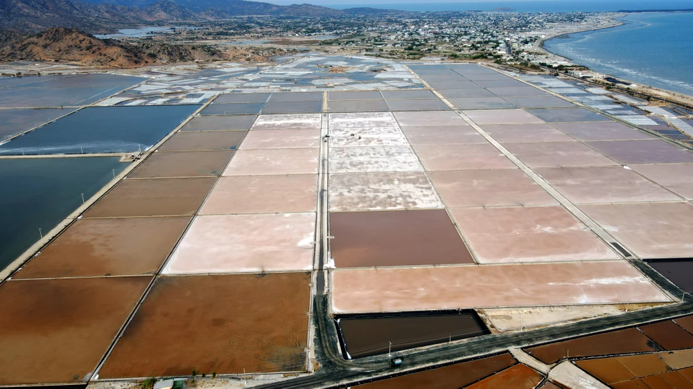 cánh đồng muối