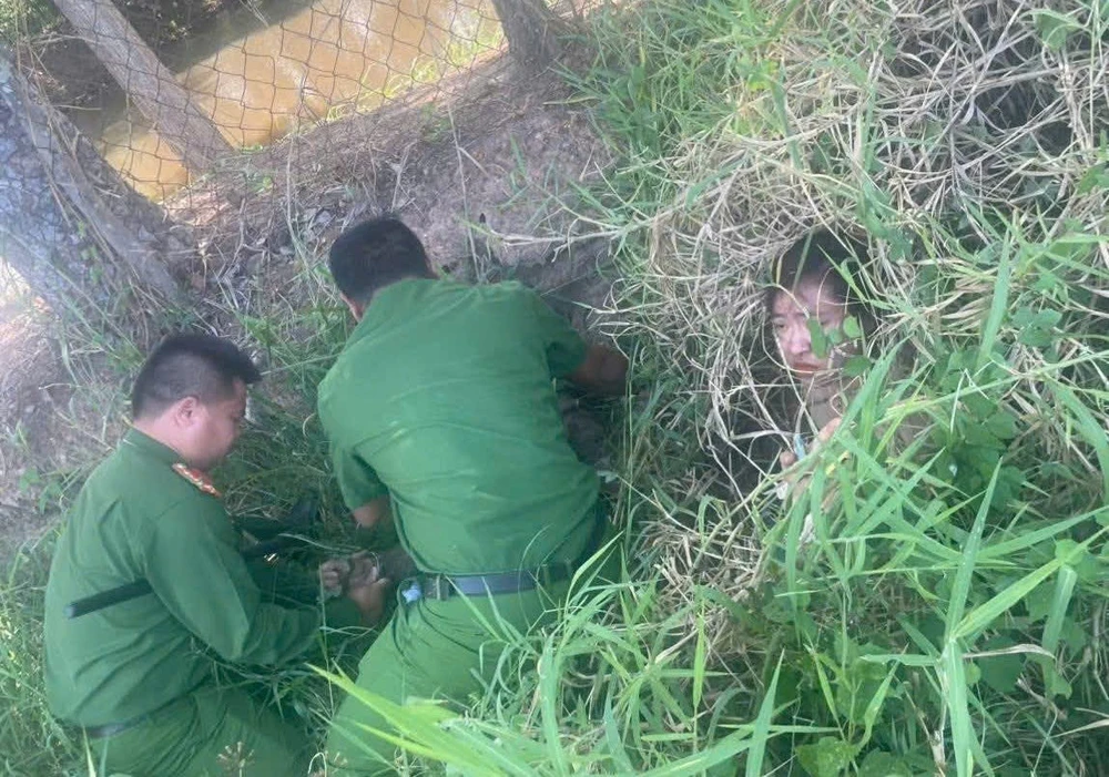 Trốn trong bụi cỏ