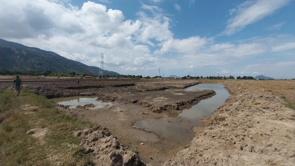 phó chánh thanh tra huyện.jpg