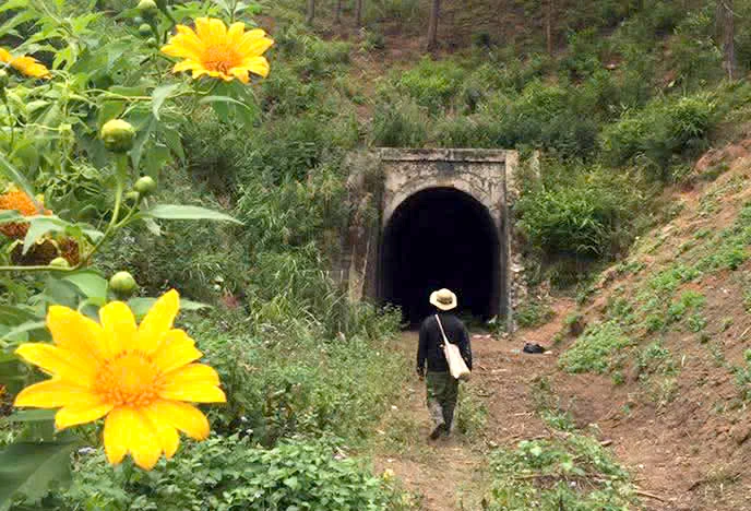 đường sắt răng cưa.jpg