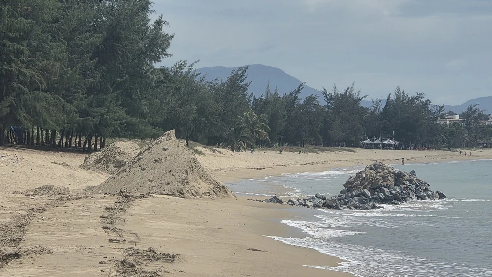 bình sơn - ninh chử 2.jpg