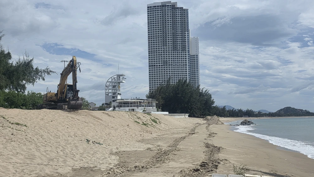 bình sơn - ninh chử.jpg