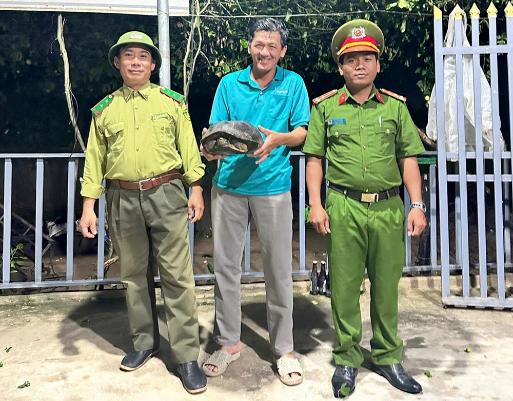 rùa đầu đen.jpg