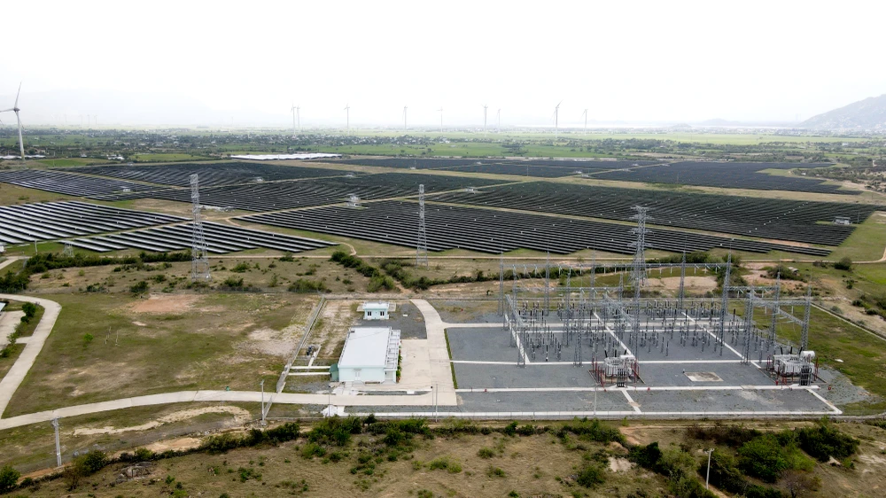 phó cục thuế tỉnh.jpg