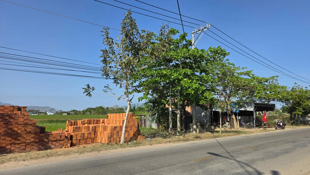 chợ xuân hải.jpg