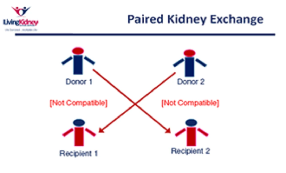 Lần đầu tiên Việt Nam ghép thận chéo thành công ảnh 4