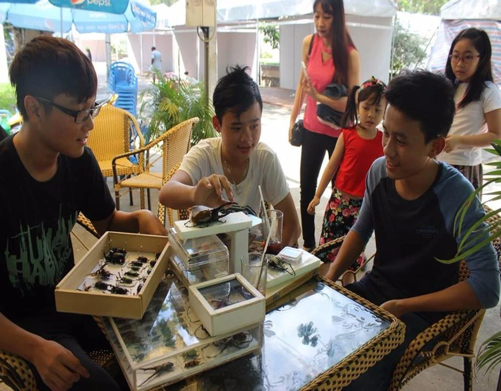Các bạn trẻ cuối tuần tụ tập chia sẻ kinh nghiệm nuôi bọ