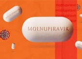 Nóng: Bộ Y tế cảnh báo thuốc Molnupiravir ảnh hưởng đến tinh trùng, xương sụn