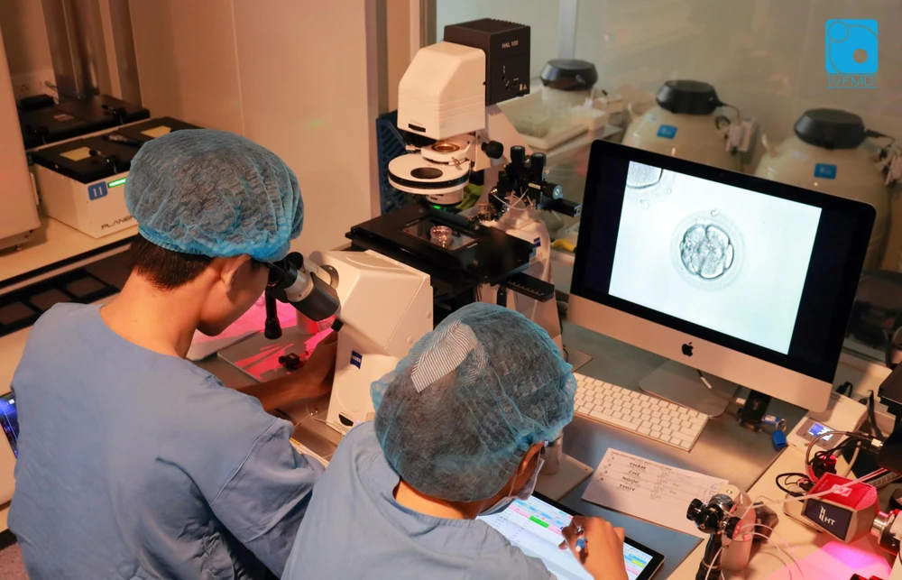 Một bước trong quy trình thụ tinh trong ống nghiệm ở IVF Mỹ Đức. Ảnh: BVCC