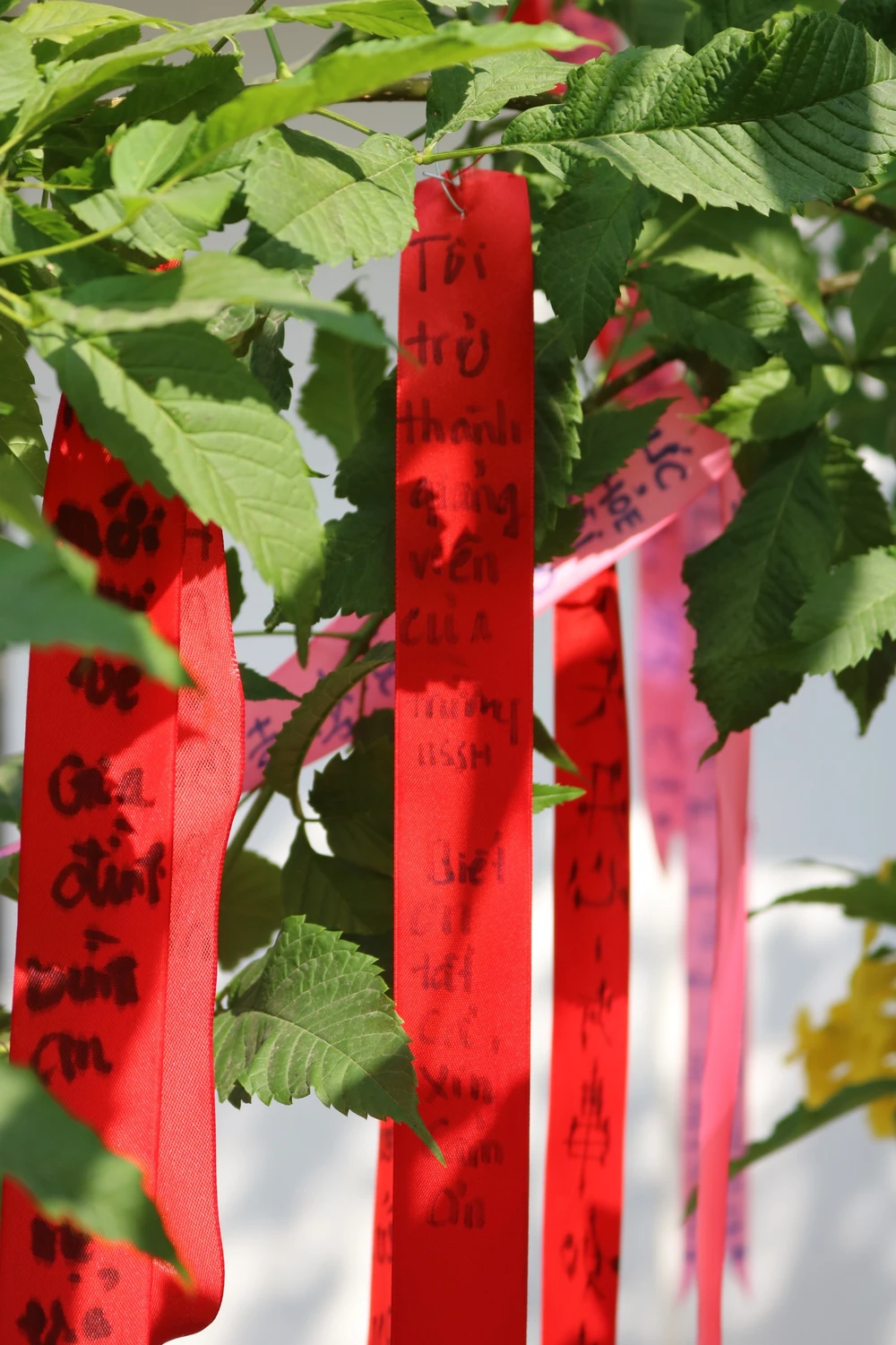 Ước muốn 'Tôi trở thành giảng viên của trường USSH, biết ơn tất cả, xin cảm ơn' được một bạn sinh viên viết và treo lên cây điều ước~1.JPG