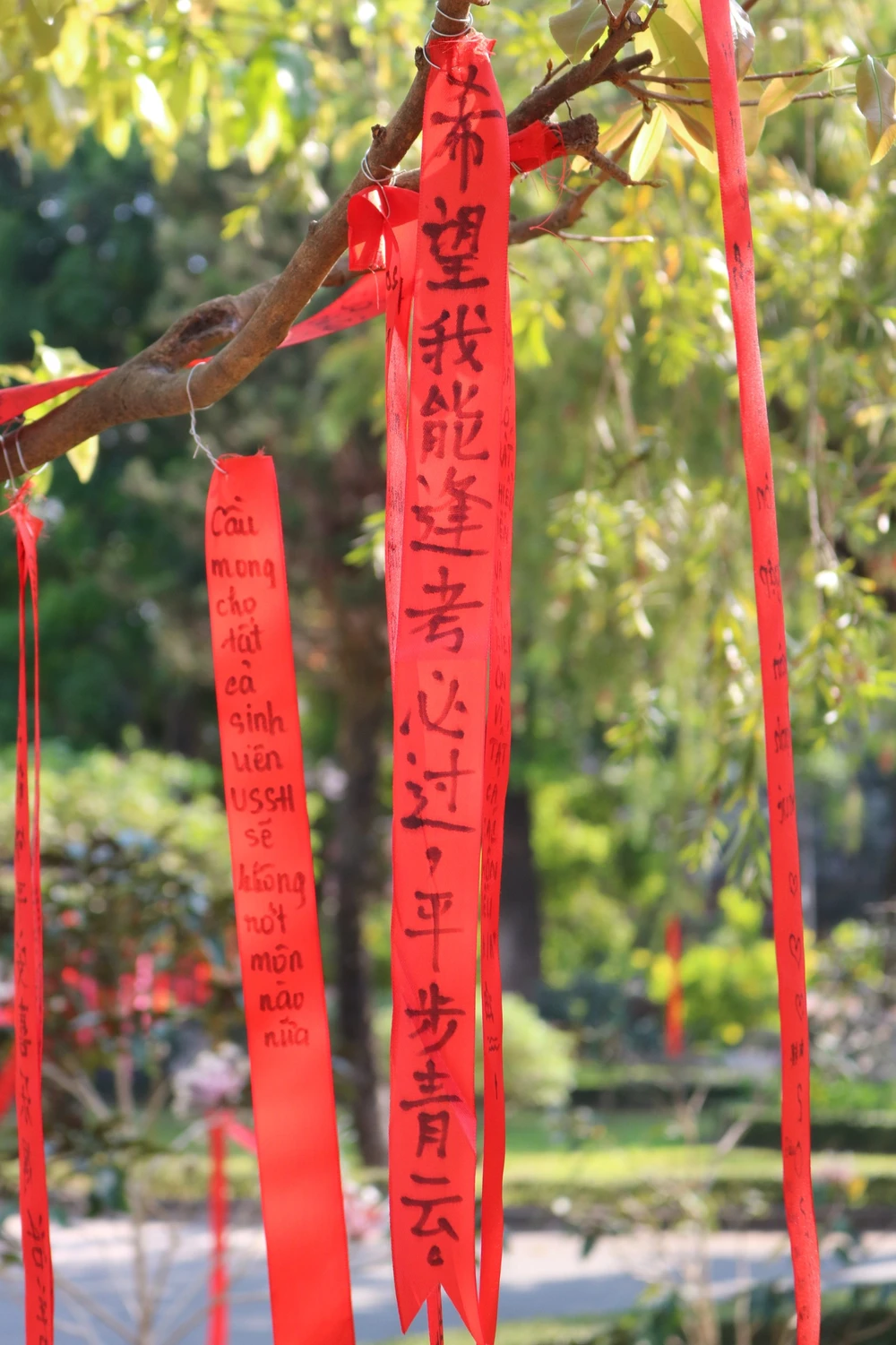 Dây ruy băng được các bạn viết bằng tiếng Trung.jpg