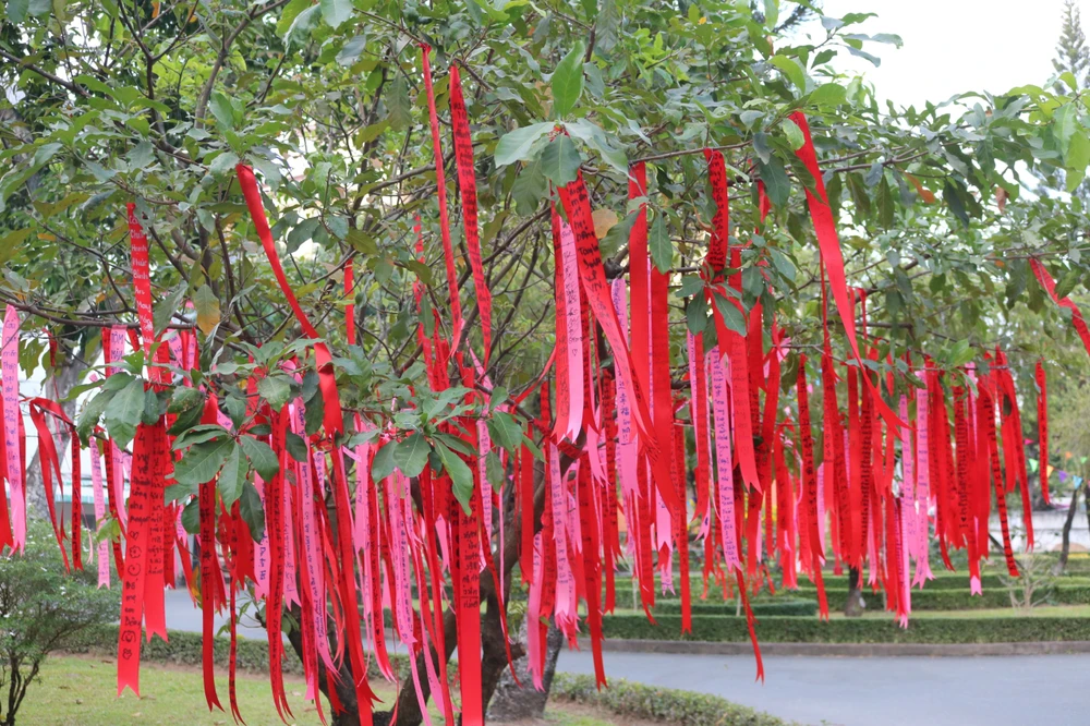 Rất nhiều ước mơ, lời nhắn nhủ năm mới được các bạn sinh viên viết và treo lên cây.jpg