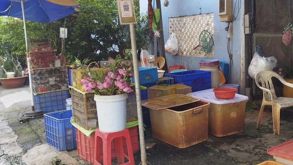 Trước cổng chùa Diệu Pháp có khoảng 4-5 sạp bán động vật cho hoạt động phóng sinh. Ảnh NHẬT TRUNG.jpg