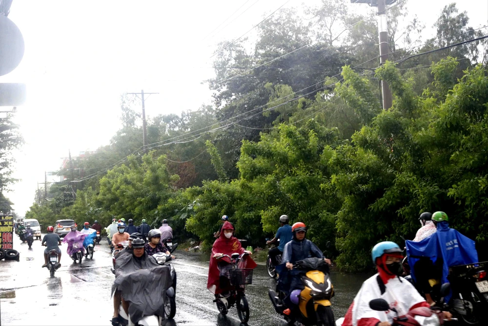 bãi rác thành công viên.jpg