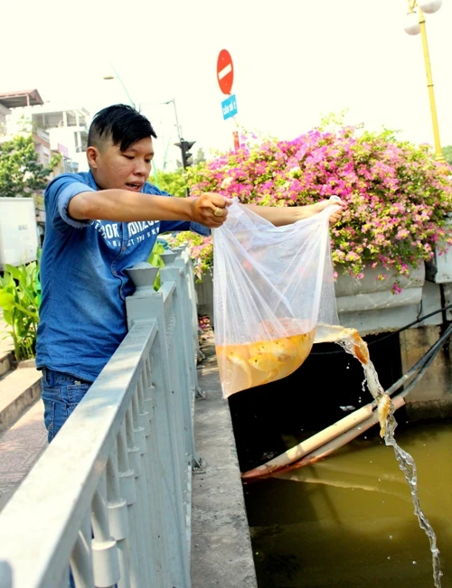 Cá chép vừa thả xuống kênh đã có người canh để bắt lại ảnh 6