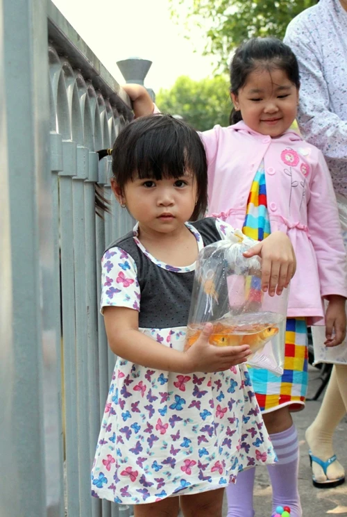 Cá chép vừa thả xuống kênh đã có người canh để bắt lại ảnh 8