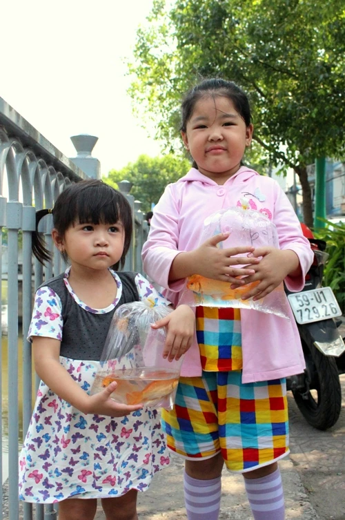 Cá chép vừa thả xuống kênh đã có người canh để bắt lại ảnh 9