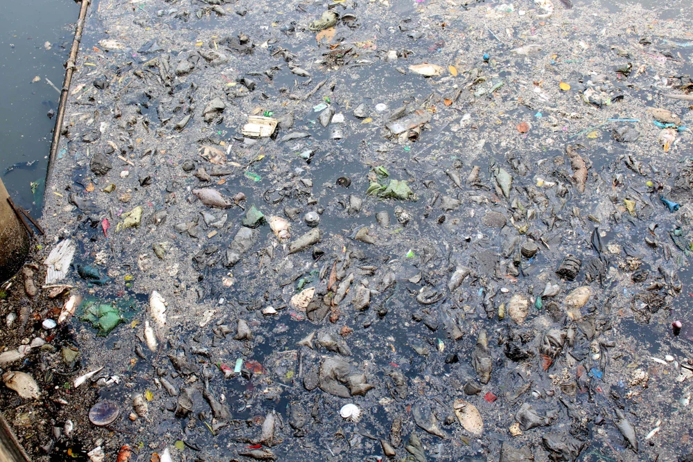 Sáng còn ngoi ngóp, chiều cá đã chết trắng xóa kênh Nhiêu Lộc ảnh 1