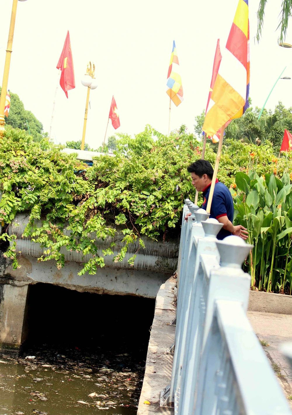 Sáng còn ngoi ngóp, chiều cá đã chết trắng xóa kênh Nhiêu Lộc ảnh 6