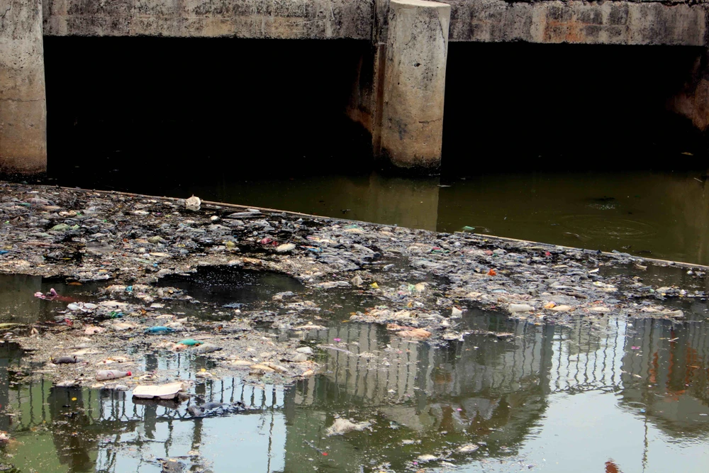 Sáng còn ngoi ngóp, chiều cá đã chết trắng xóa kênh Nhiêu Lộc ảnh 2