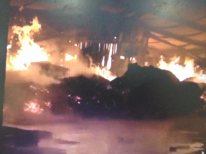 Vụ cháy lớn tại công ty sản xuất sản phẩm gỗ