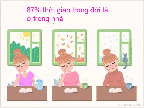 ban co biet, chung ta da ton bao nhieu thoi gian trong doi cho viec an, ngu, online va yeu...? - 1