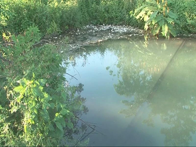 Đi bơi tại hồ không rào chắn, một học sinh chết đuối ảnh 2