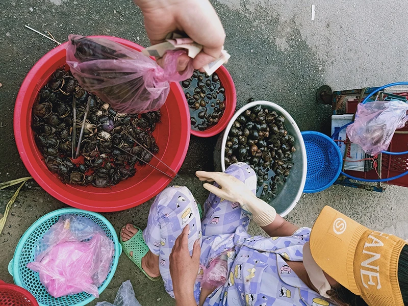 Gấp rút cung cấp rau, cá, tôm… để ổn định giá ảnh 2