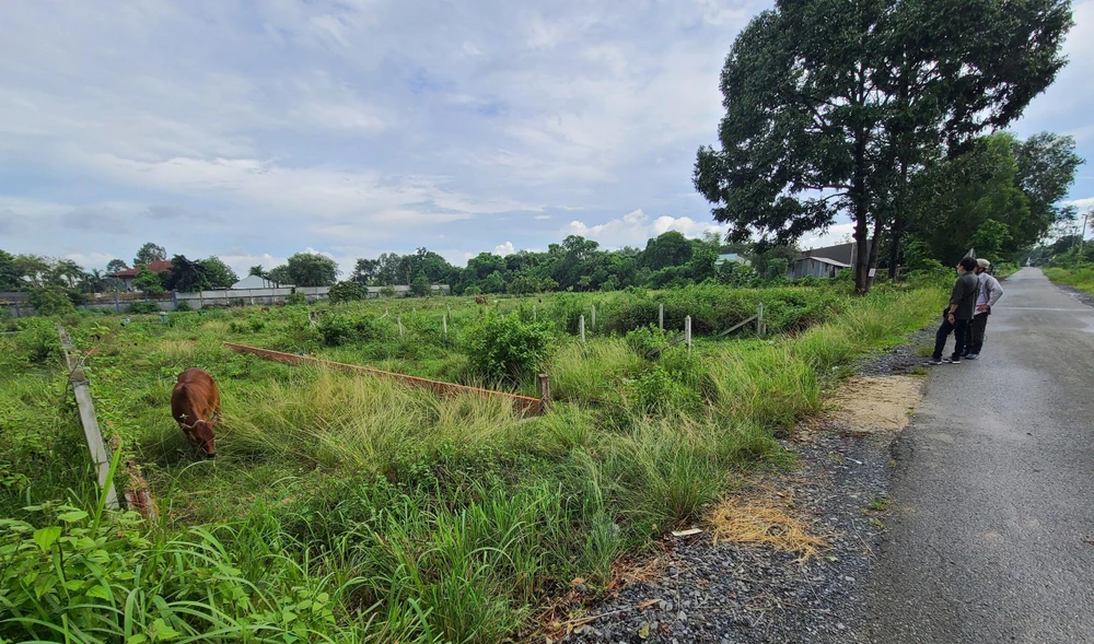 Cò giới thiệu một khu đất ở huyện Củ Chi. Ảnh: PV