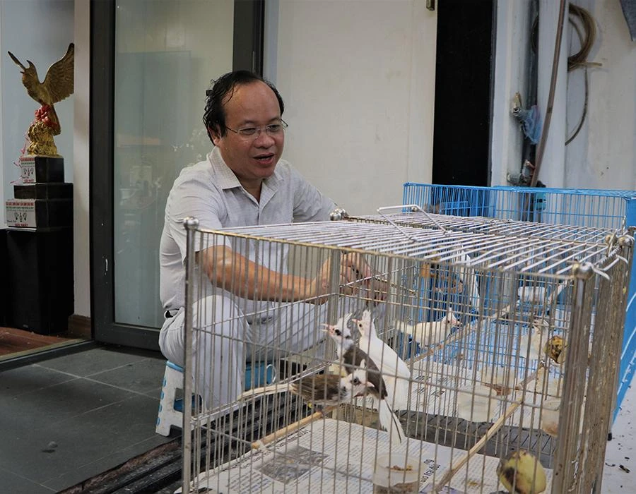 Mỗi ngày anh Nhân lại ra thăm chim, quan sát thái độ của chúng để biết chúng đang khỏe hay ốm. Ảnh: MINH TÂM