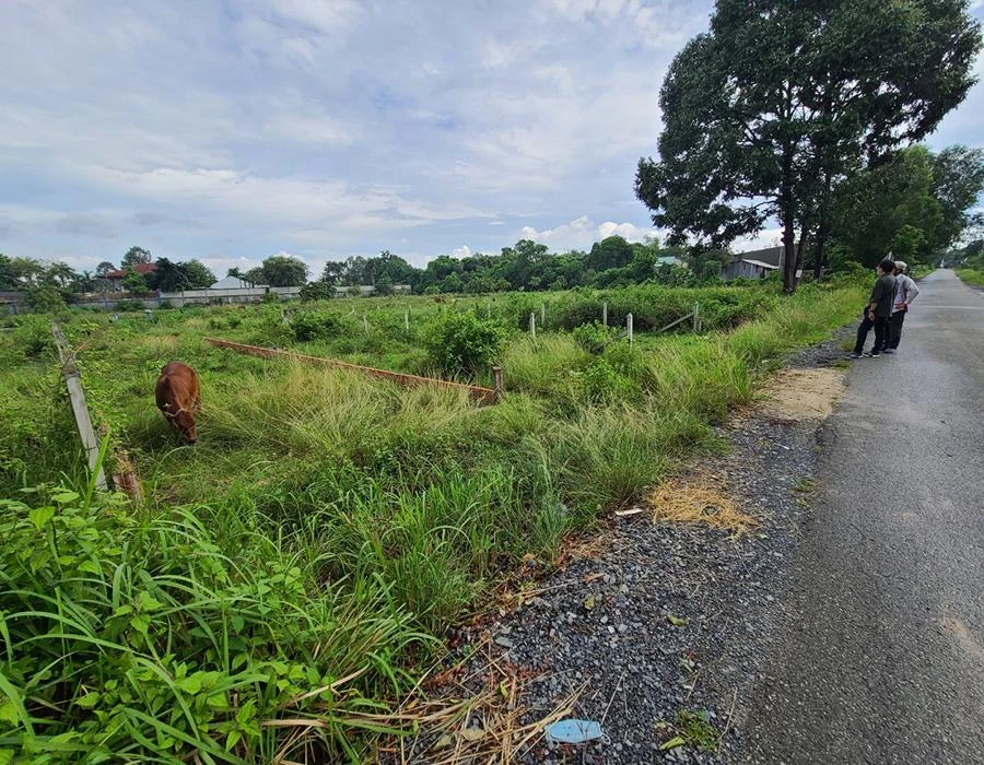 Cò đất đang giới thiệu một dự án bất động sảnvùng ven TP.HCM. Ảnh: HV