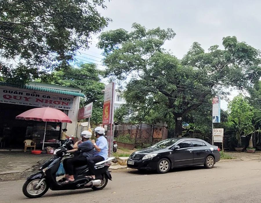 Sáu lô đất ở đường Lý Tự Trọng được giao cho sáu hộ dân sau 12 năm bảo lưu kết quả đấu giá. Ảnh: VŨ LONG