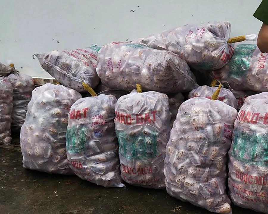 Công an giao trả cho chị Lư Thị Kiên số vỏ ốc bẫy mực bị mất vào năm 2021. Ảnh: TV