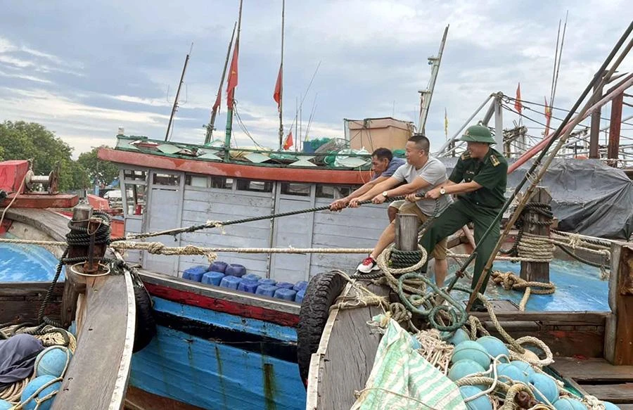 Lực lượng biên phòng hỗ trợ người dân chằng dây tàu thuyền trước khi bão đổ bộ tại Thanh Hóa. Ảnh: TTXVN