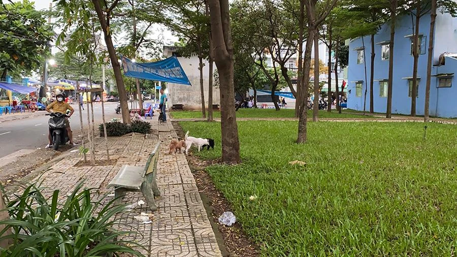 Người dân vô tư thả chó ra đường phóng uế, làm mất vệ sinh nơi công cộng. Ảnh: TÚ NGÂN