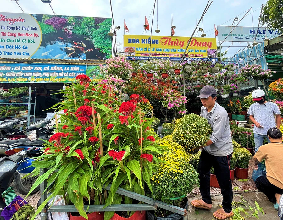 Hoa từ các địa phương đổ về TP.HCM ngày càng nhiều. Ảnh: TÚ UYÊN Hoa từ các địa phương đổ về TP.HCM ngày càng nhiều. Ảnh: TÚ UYÊN