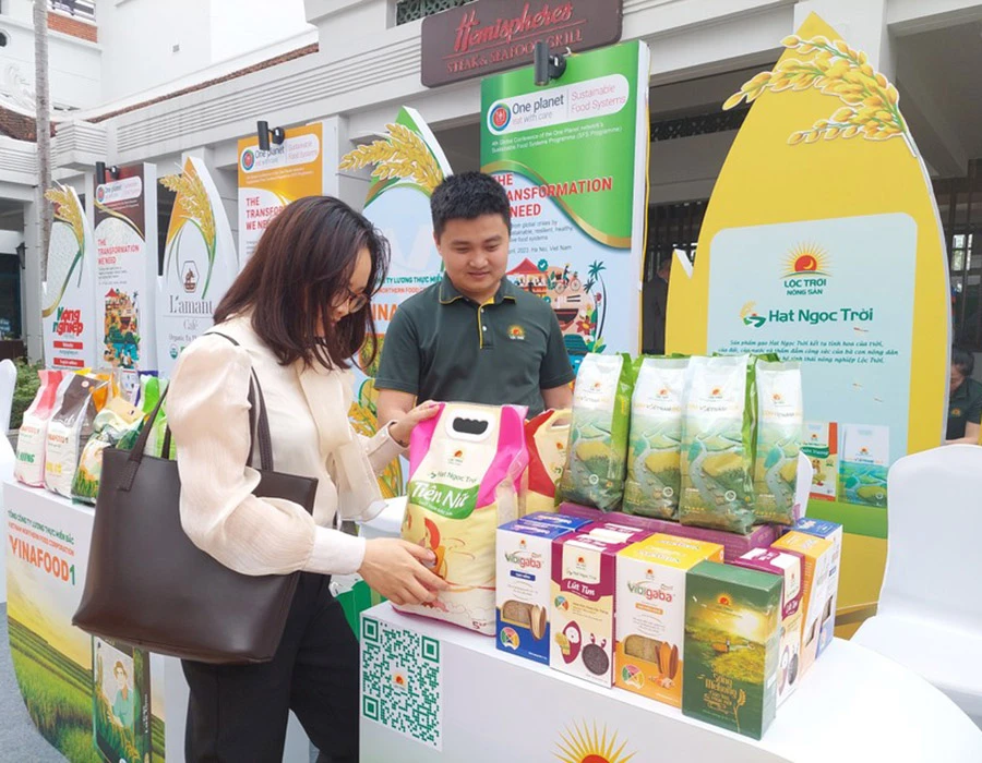 Việt Nam đã cải tiến nhiều về chất lượng gạo để xuất khẩu. Ảnh: A.HIỀN