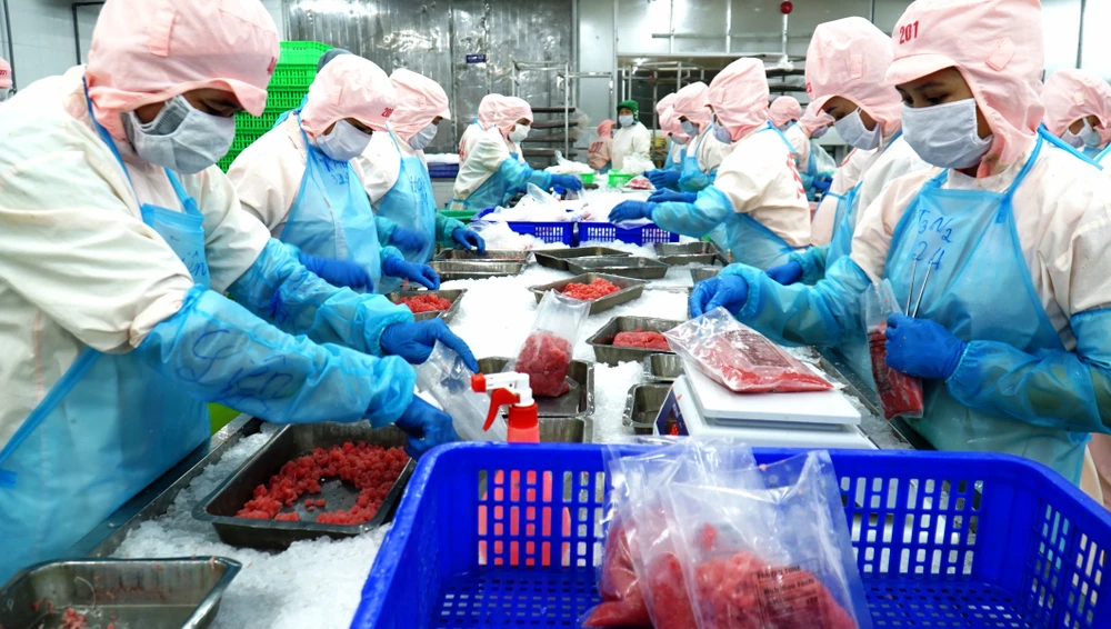 Công nhân Công ty CP Bá Hải đang đóng thành phẩm cho các sản phẩm cá ngừ đại dương để cung ứng ra thị trường. Ảnh: QUỐC VŨ