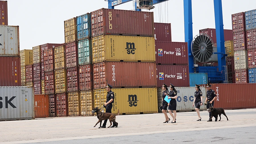 Các nhân viên ngành hải quan đi kiểm tra hàng hóa xuất nhập khẩu. Ảnh: VĂN TÁ Các nhân viên ngành hải quan đi kiểm tra hàng hóa xuất nhập khẩu. Ảnh: VĂN TÁ