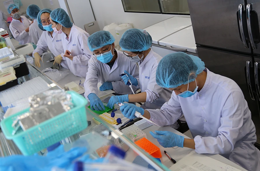 p10-kinh te tphcm.jpg