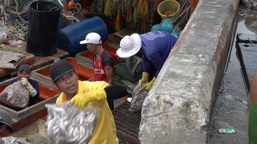 Ngư dân chung tay gỡ thẻ vàng