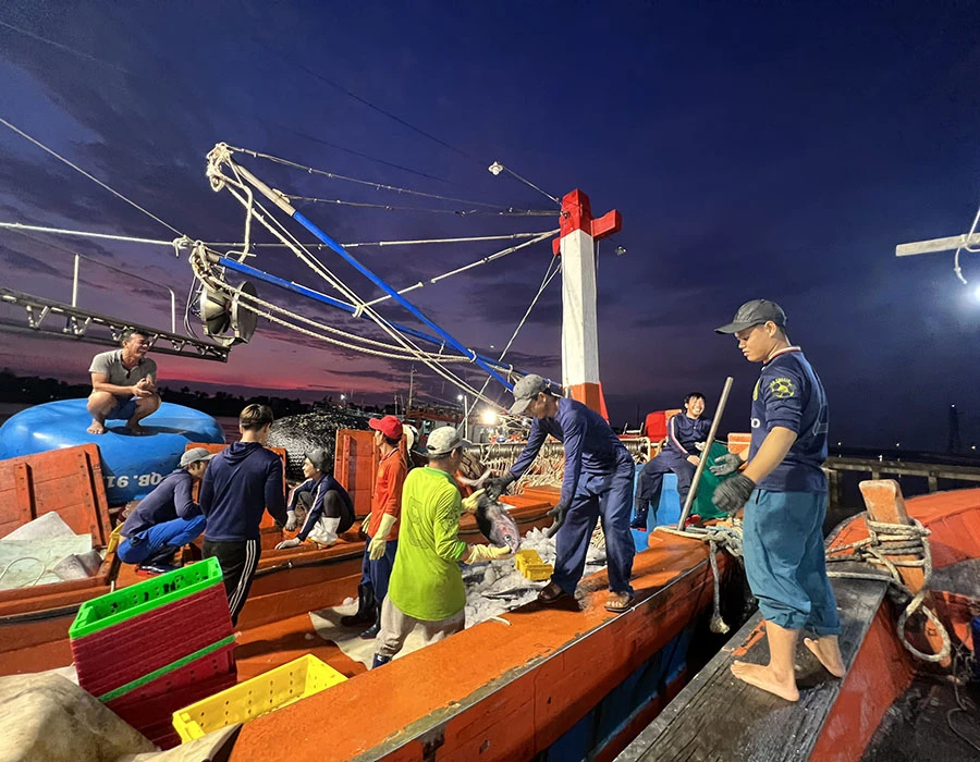 Nhiều mô hình phát triển kinh tế biển hiệu quả