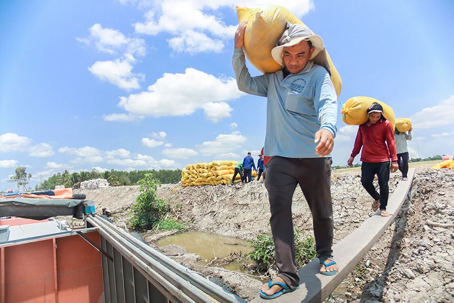 thu-mua-lua-gao 4.jpg