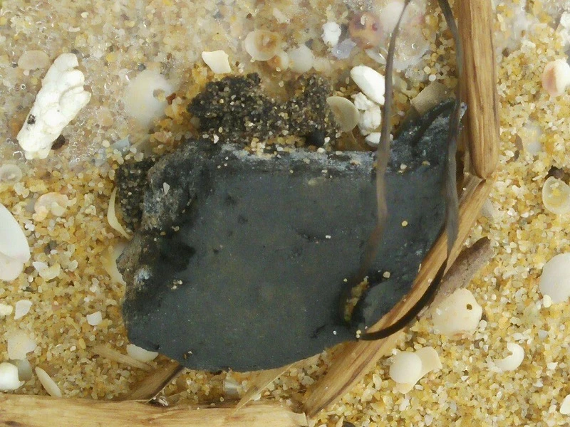 10 km bờ biển ngổn ngang vỏ chai nhãn Trung Quốc ảnh 3