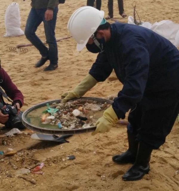 Thu gom 200 tấn rác tấp vào bờ biển Quảng Nam ảnh 4 Thu gom 200 tấn rác tấp vào bờ biển Quảng Nam ảnh 4