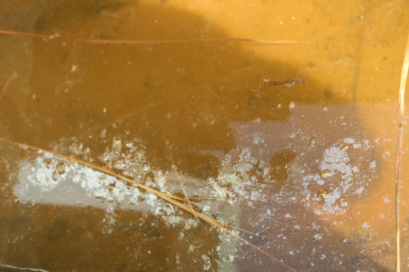 Công trình 8 tỉ đắp chiếu, 800 hộ dân thiếu nước sạch ảnh 3