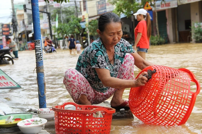 Quảng Nam: Hối hả dọn lũ từ tờ mờ sáng ảnh 5